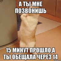 а ты мне позвонишь 15 минут прошло,а ты обещала через 14