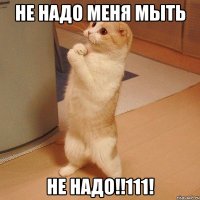 Не надо меня мыть НЕ НАДО!!111!