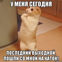 У меня сегодня последний выходной, пошли со мной на каток!