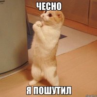 чесно я пошутил