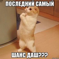 Последний самый шанс даш???