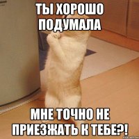 ты хорошо подумала мне точно не приезжать к тебе?!