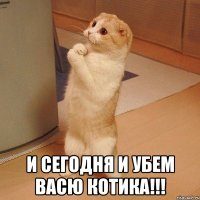  И сегодня и убем васю котика!!!