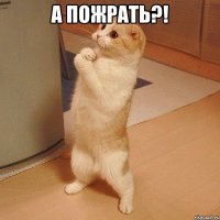 а пожрать?! 