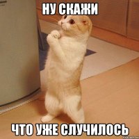 ну скажи что уже случилось