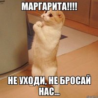 Маргарита!!!! Не уходи, не бросай нас...