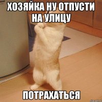 Хозяйка ну отпусти на улицу потрахаться