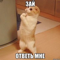 зай ответь мне