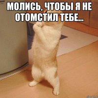 Молись, чтобы я не отомстил тебе... 