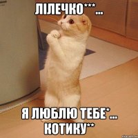 Лілечко***... Я люблю тебе*... Котику**