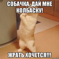 Собачка, дай мне колбаску! Жрать хочется!!!