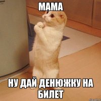 МАМА НУ ДАЙ ДЕНЮЖКУ НА БИЛЕТ