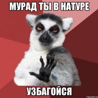 МУРАД ТЫ В НАТУРЕ УЗБАГОЙСЯ