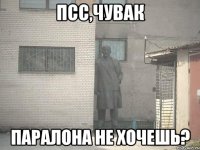 Псс,чувак Паралона не хочешь?