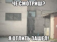 ЧЕ СМОТРИШ? Я ОТЛИТЬ ЗАШЕЛ!