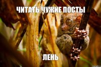 читать чужие посты лень