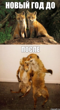 Новый год ДО ПОСЛЕ