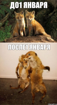 до1 января после1 января