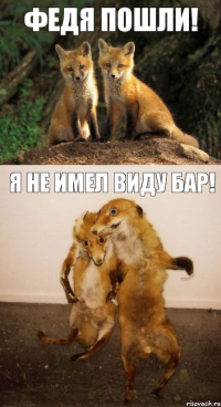 Федя пошли! Я не имел виду бар!