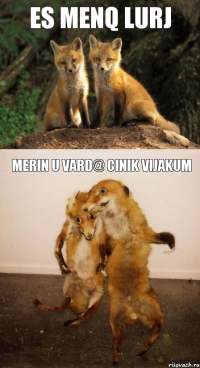 es menq lurj merin u vard@ cinik vijakum