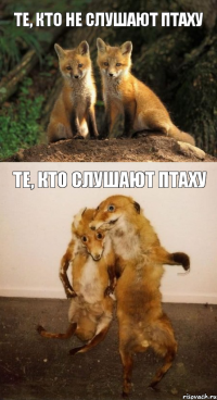 те, кто не слушают Птаху Те, кто слушают Птаху