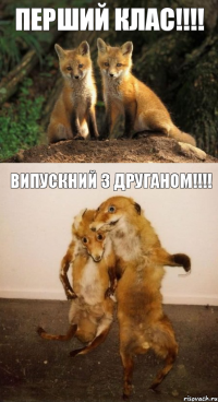 ПЕРШИЙ КЛАС!!!! ВИПУСКНИЙ З ДРУГАНОМ!!!!