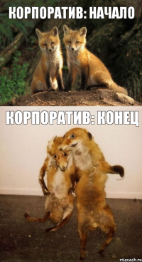 Корпоратив: начало Корпоратив: конец