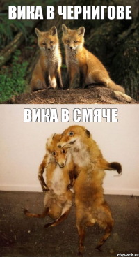 Вика в Чернигове Вика в Смяче