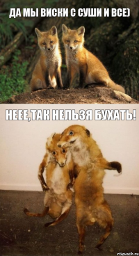 да мы виски с суши и все) неее,так нельзя бухать!