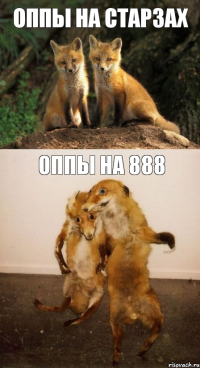 Оппы на старзах Оппы на 888