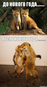 до нового года........ после нового года..........