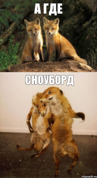 а где сноуборд