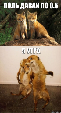 Поль давай по 0.5 5 утра