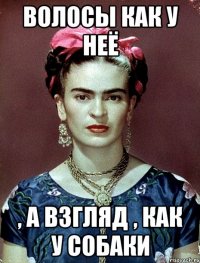 волосы как у неё , а взгляд , как у собаки