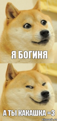 Я боГИнЯ А ТЫ КАКАШКА =3