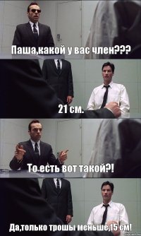 Паша,какой у вас член??? 21 см. То есть вот такой?! Да,только трошы меньше,15 см!