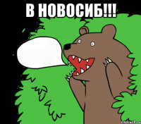 В НОВОСИБ!!! 