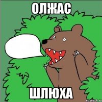 ОЛЖАС ШЛЮХА