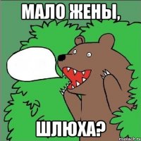 Мало жены, шлюха?