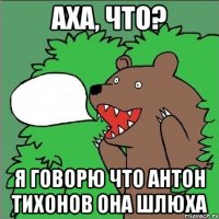 Аха, что? Я говорю что Антон Тихонов она шлюха