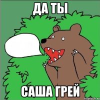 да ты саша грей