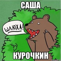 Саша Курочкин