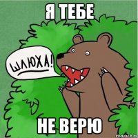 я тебе не верю