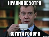 КРАСИВОЕ УСТРО КСТАТИ ГОВОРЯ