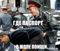  где паспорт в жопе поищи