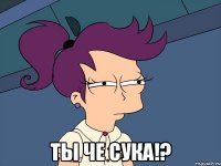  Ты че сука!?