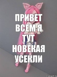 привет всем я тут новекая усекли