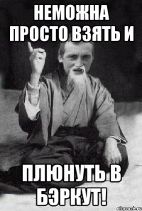 Неможна просто взять и плюнуть в бэркут!