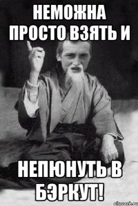 Неможна просто взять и непюнуть в бэркут!