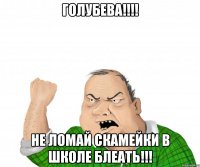 Голубева!!!! не ломай скамейки в школе блеать!!!